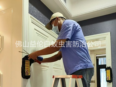 南庄镇住宅白蚁防治工程