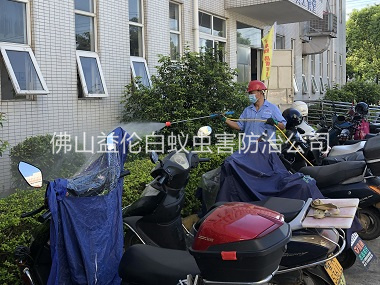 禅城厂区杀虫灭蚊工程