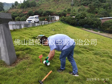 佛山水利工程红火蚁防治