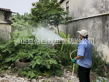 张槎社区消灭蚊子工程