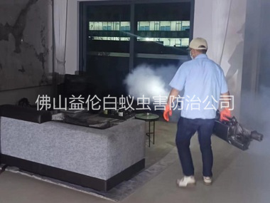 祖庙室内灭蚊虫工程