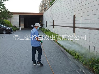 张槎企业园区消杀蚊蝇工程