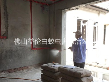 溶洲装修预防白蚁工程